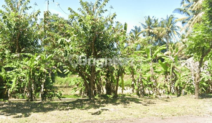 Kavling Nol Jalan raya Bypass Bali Gianyar lokasi strategis