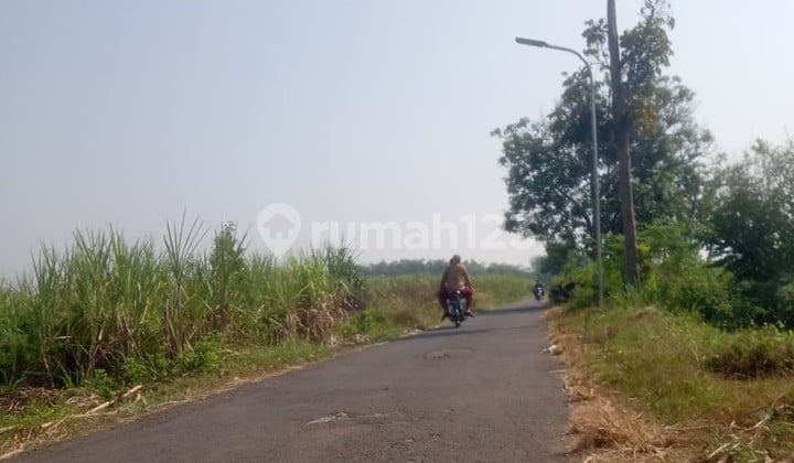 cheap land mojowarno jombang cheap land mojowarno jombang