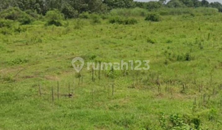 Jual tanah kesamben jombang murah shm