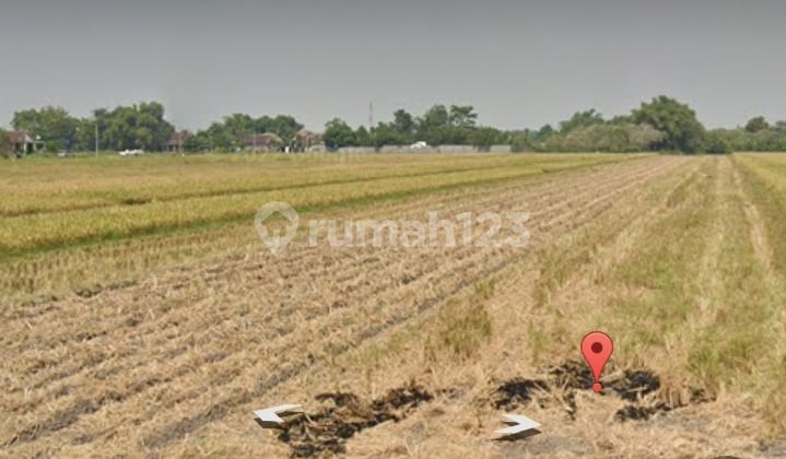 Land for sale cheap in Tembelang, Jombang Land for sale cheap in Tembelang, Jombang