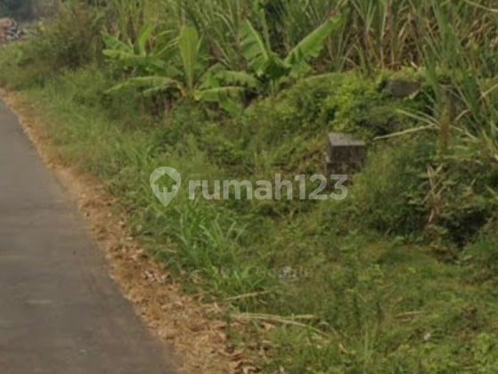 Dijual tanah kesamben jombang murah Dijual tanah kesamben jombang murah