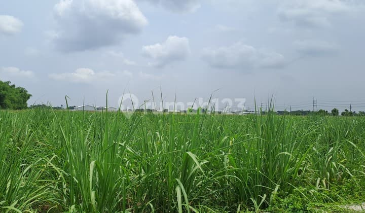 Jual tanah murah di Lengkong nganjuk sdh berijin industri