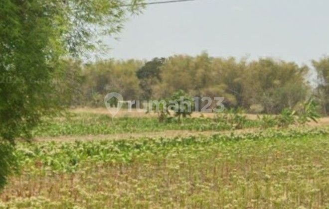 Selling land suitable for factory in Mojokerto. Selling land suitable for factory in Mojokerto.