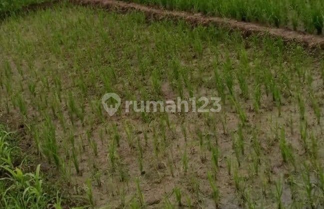 Dijual tanah dimojojerto zona industri