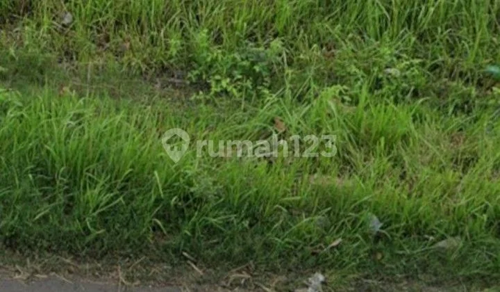 Land for sale near Jombang toll road, Bandar Kedungmulyo Land for sale near Jombang toll road, Bandar Kedungmulyo