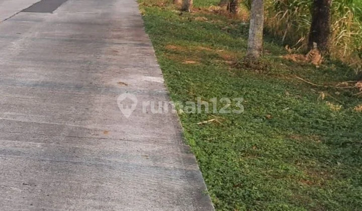 Dijual Tanah Murah Mojokerto Plot Industri Kontainer Lewat Dijual Tanah Murah Mojokerto Plot Industri Kontainer Lewat