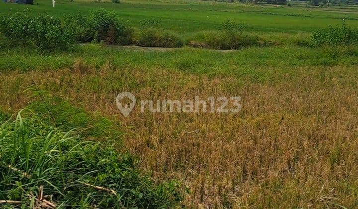 Tanah Industri Murah Lamongan