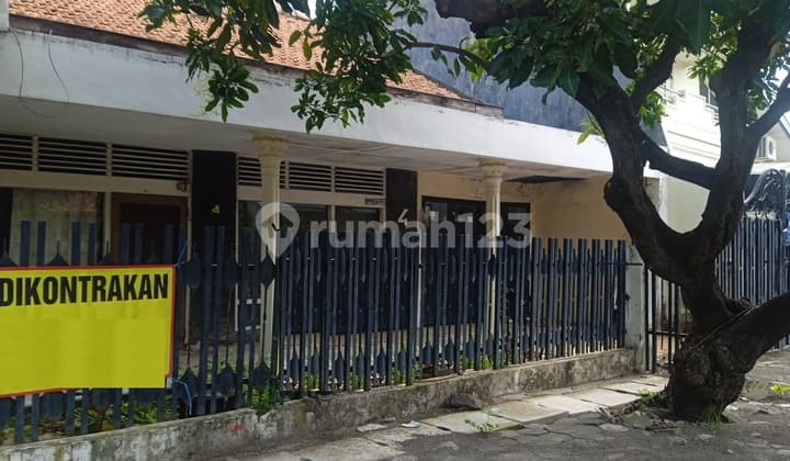 Disewa Rumah Ketintang Baru Gayungan Surabaya