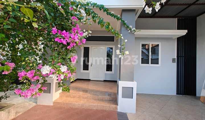 Rumah Dekat Dharmahusada Unair