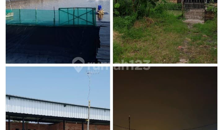 Dijual MURAH Tambak udang AKTIF Siap Pakai di Desa Permisan, Jabon, Sidoarjo, Jawa timur . 0 jalan