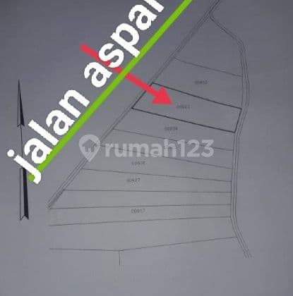 For sale: Active fish pond land in Petis Village, Duduk Sampean, Gresik, East Java.