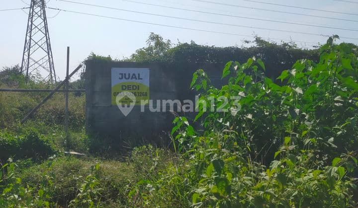 Jual Murah Tanah Murah di Beiji, Pasuruan, Kecamatan Gunung Sari,Jawa Timur