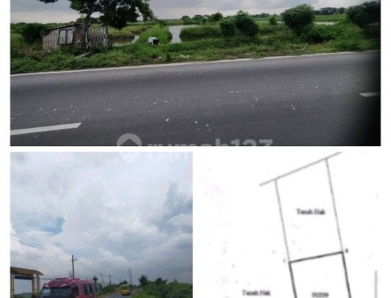 Sewa Murah Tanah Murah di Raya Betoyo Manyar, Manyar, Gresik , Jawa Timur,