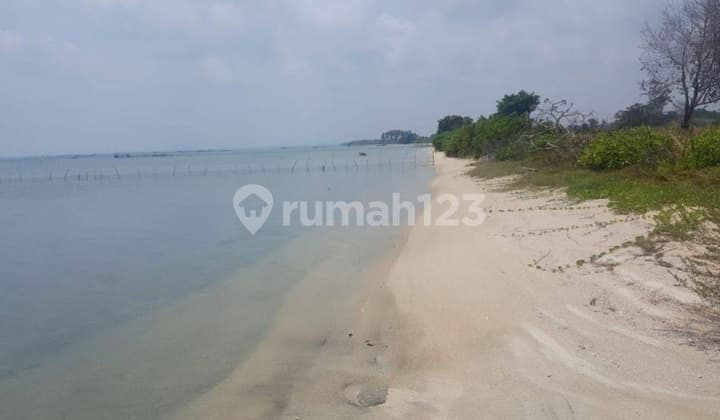 Dijual Cepat Tanah di Kepulauan Belitung Dekat Pantai Murah 650 Ribu m2