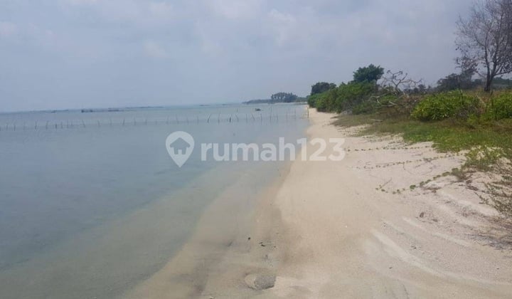 Land for Sale in Belitung Islands Near Beach Cheap 650 Thousand m2 Quick Sale