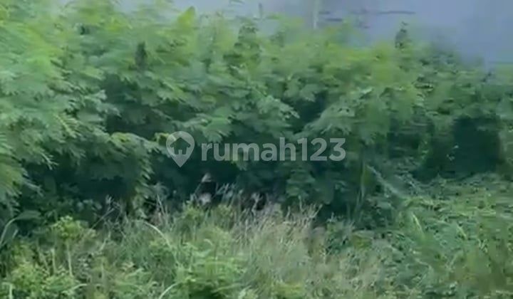 Jual Kavling Tanah di Green Garden Ukuran 12 X 25 Segiempat Siap Bangun