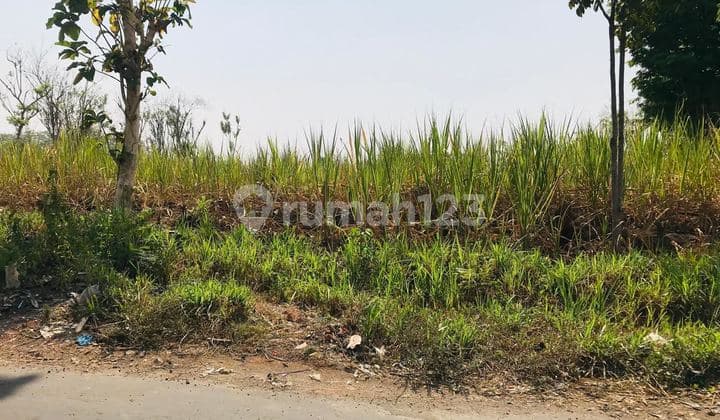 Land in Asrikaton Bunut, Wetan Pakis, Malang Regency, East Java.