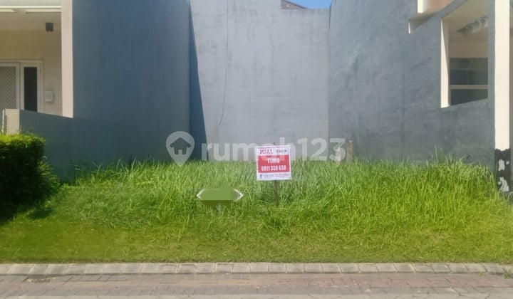 Rare Jade Hamlet Plots, Front Position Only 4 Billion