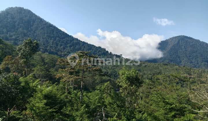 Tamblingan Highlands Sanctuary, A Rare Eco-Luxury Land Opportunity In North Bali