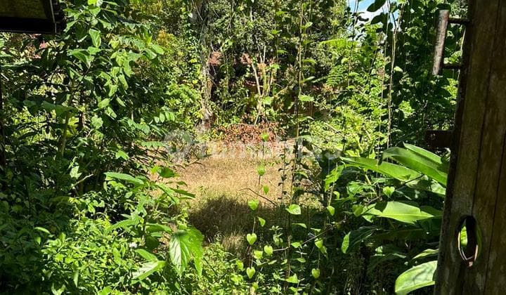 Freehold Land Central Ubud Perfectly Suitable For Commercial Property