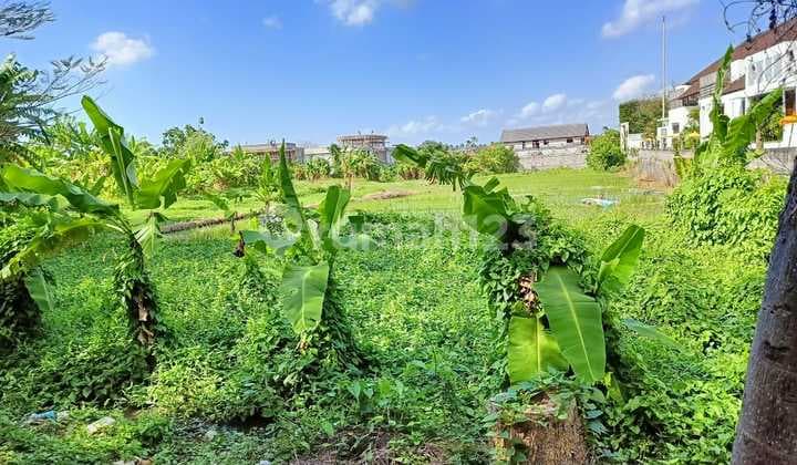 Bussiness Opportunity 7 Minutes Drive To The Beach Tourist Attractions Petitenget Seminyak