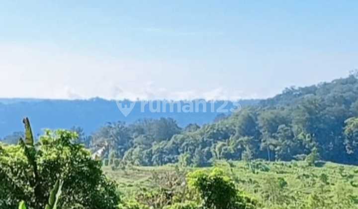 Real Estate Investment Munduk Buleleng Hilltop , Ideal For Commercial Property