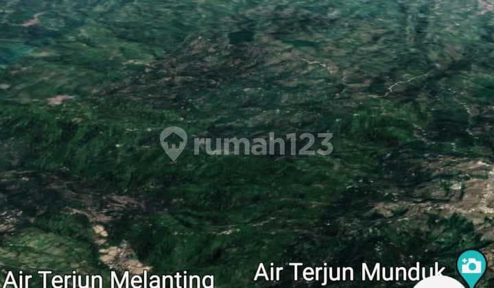 Good Investment Bedugul Munduk With Amazing View Close To Munduk Cabins