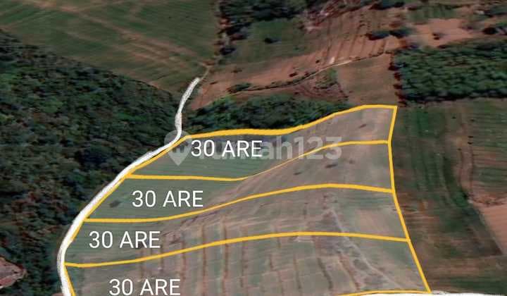 Freehold Land Foothills Of Bukit Pucuk Gesing 30 Are Each