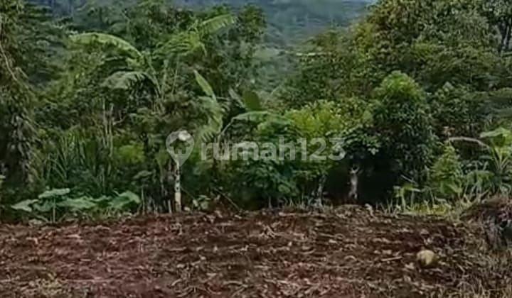 Prime Highland Investment Mountain View In Gesing - Bedugul Ideal For Eco Villas, Retreats & Luxury Developments