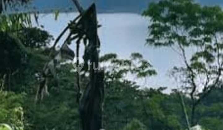 Great opportunity: Prime Land With Panoramic Views in Danau Tambilngan – Munduk Bali