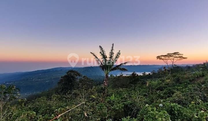The Pinnacle of Bukit Pucuk with Panoramas Beyond Imagination