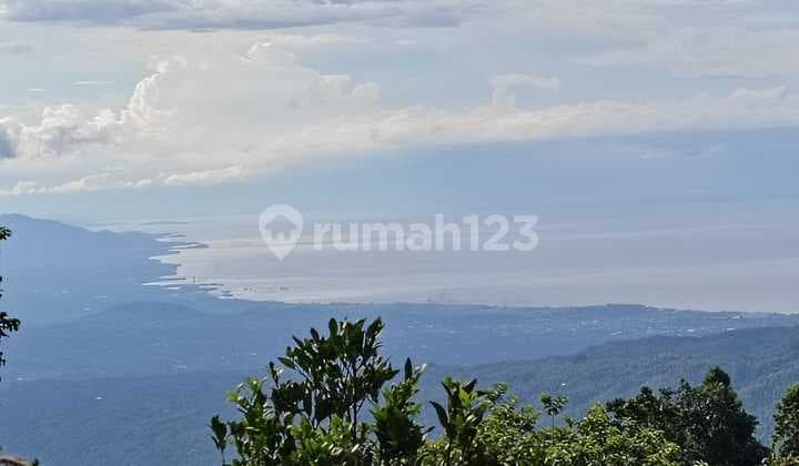 Beautiful Ocean View Housing Development Land In Munduk, Buleleng Regency Bali