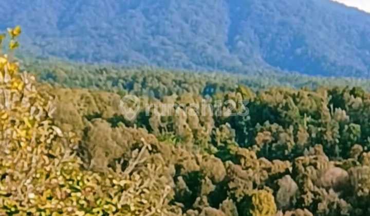 Munduk Heaven Highlands Estate, A Perfect Canvas For High-Value Development