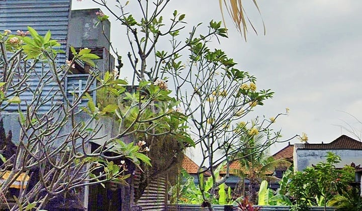 Rumah Hak Milik 3 Kamar Area Denpasar Utara Lokasi Strategis Dekat Living World Mall Denpasar