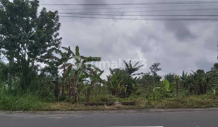 A Timeless Investment In The Highlands Of Munduk, Panoramic Lake And Hillside Land On The Munduk-Wanagiri Highway