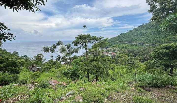 East Bali Treasure - 96 Are of Oceanfront Serenity at Kusambi Beach