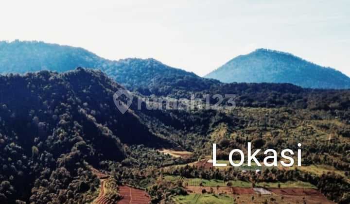 Rare Investment Gem in Bali’s Highland Paradise, Freehold Land with Panoramic Views in Gesing – Bedugul