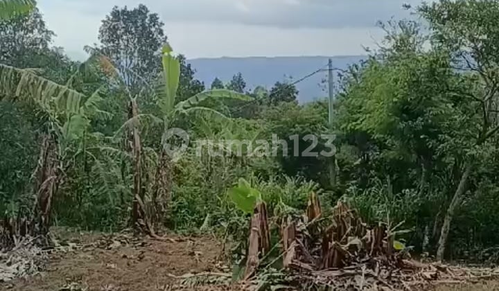 Investment Opportunity Freehold Plot Of Land With Unobstructed Views In Gessing Bedugul, Bali Island.