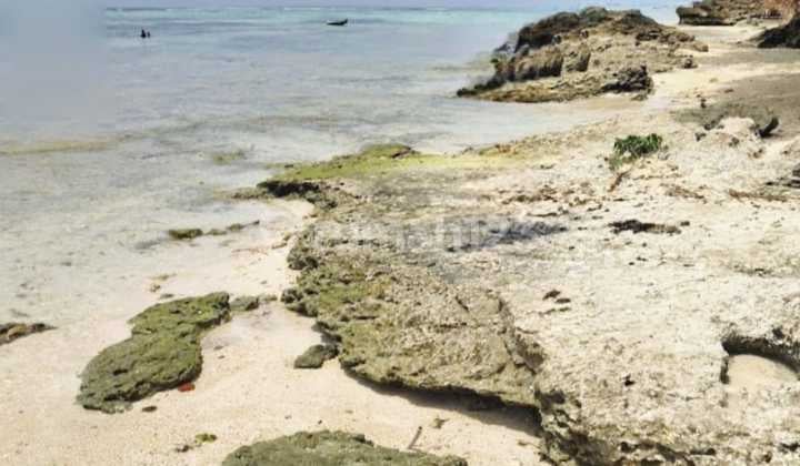 Land for Sale, Great Investment Opportunity Nusa Lembongan Bali