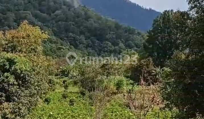 Enchanting Haven on Pucuk Hill: Your Gateway to Bali's Timeless Serenity