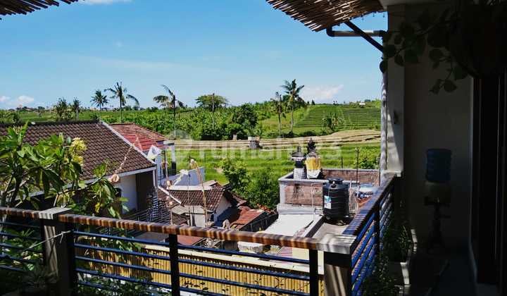 Three Bedroom Gorgeous Villa Rice Fields View Close To Pererenan Beach