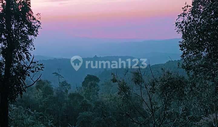 Real Estate Investment Munduk Buleleng Hilltop , Ideal for Commercial Property It is ideal for a villa complex or commercial property.