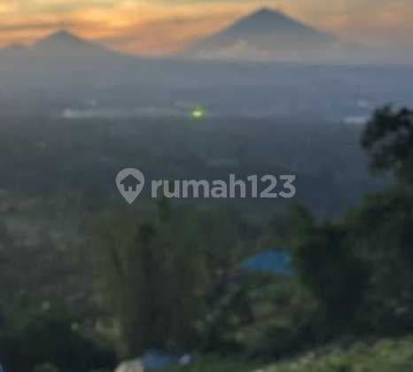 Rare Opportunity: Premium Land for Sale in Bedugul - Baturiti, Bali