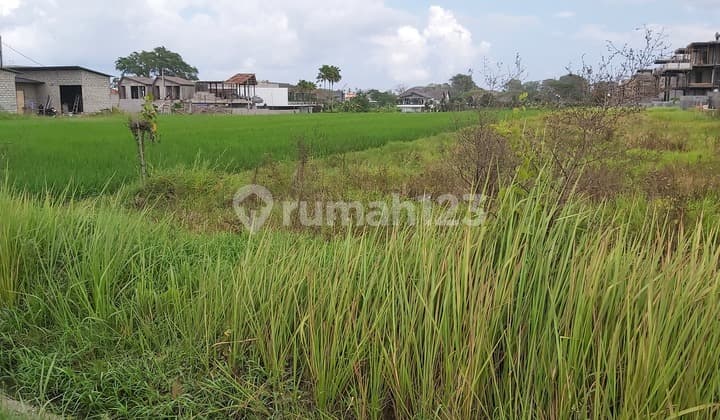 Beautiful Property In Prime Location Good Opportunity For Investment Walking Distance To Pererenan Beach