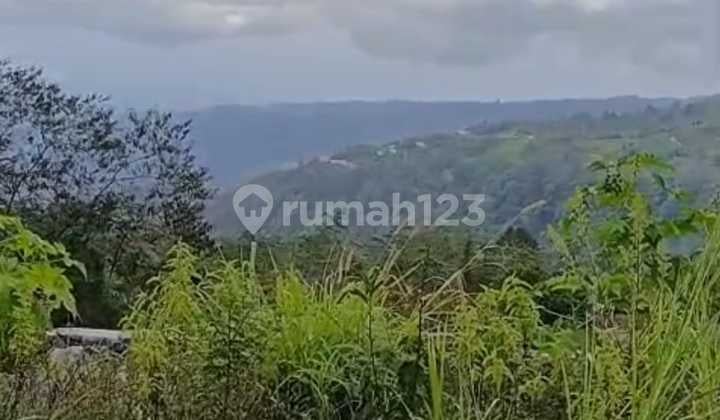 An Elevated Investment In Bukit Pucuk, Munduk, Where Lake, Mountains & Sunset Meet