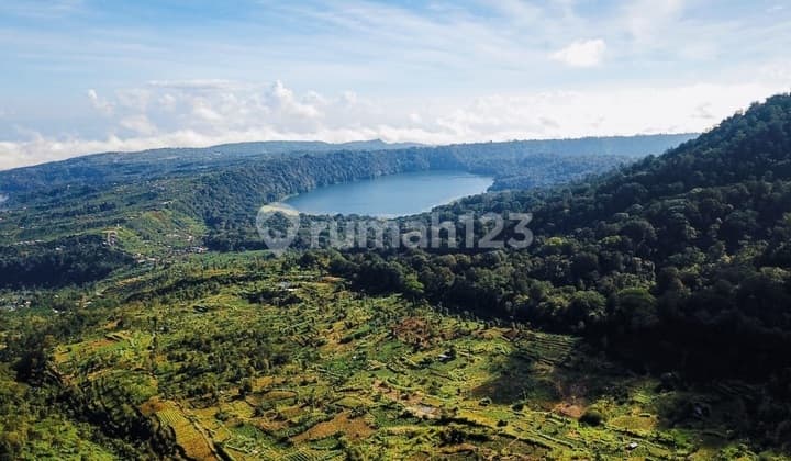 A Rare Highland Investment At The Foot Of Mount Shangyang - Munduk, Bedugul