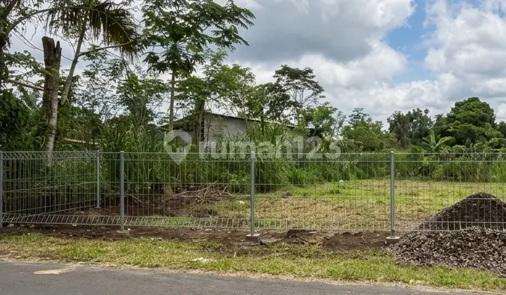 Investment Opportunity In Taro Village, Expansive Freehold Land With Limitless Potential, Ideal For Eco Retreat, Villas And Long-Term Investment