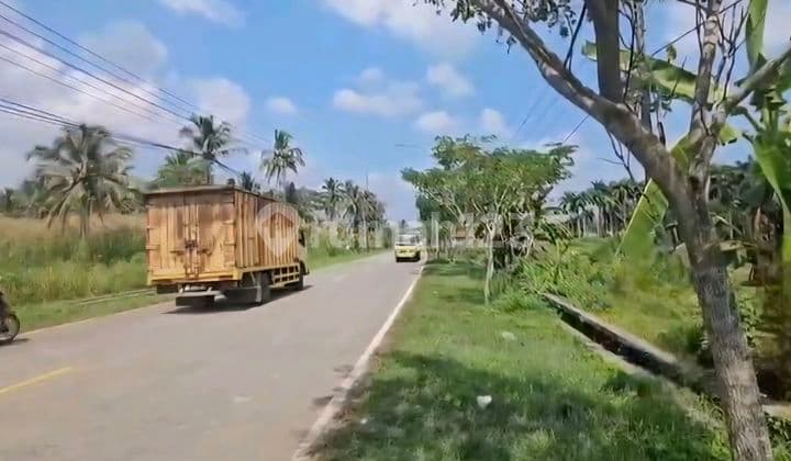 Tanah Premium.hadap.jalan.raya Dan.blkg Hadap Pantai Di.tg Lesung Banten.