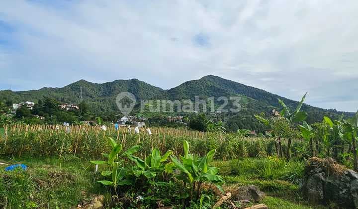 Land Price Drop Coolibah Puncak View Mountain 5220m2