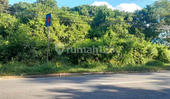 Sewa Tanah SHM Harga Murah Siap Bangun Cafe Tempat Wisata Kuliner